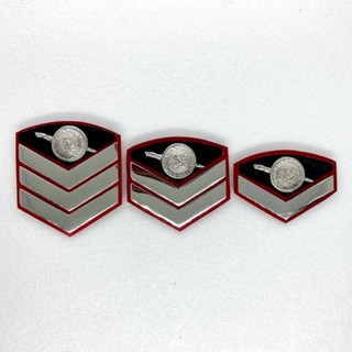 ติดชุดกากี ยศ สตต-สตอ  ขาเข็มกลัด