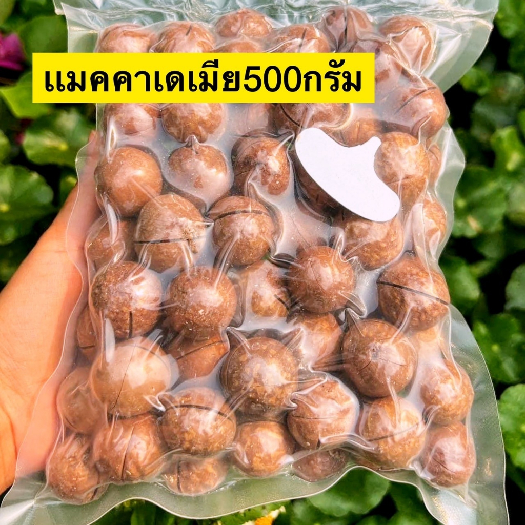 แท้ 💯 แมคคาเดเมีย แม็คคาเดเมียอบ คาเดเมียอบธรรมชาติ กรอบอบธรรมชาติ ถั่วอบแห้ง กรอบอบธรรมชาติ อบเนย พร้อมทาน มัน กรอบ มัน