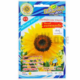 เมล็ดดอกทานตะวัน พันธุ์ธารเหลือง ตราสี่ทิศ