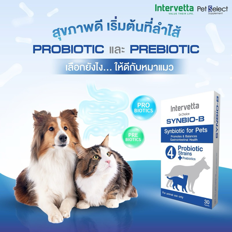 [Exp01/2027] Synbio-b probiotic prebiotic อาหารเสริมปรับสมดุลทางเดินอาหารสำหรับสุนัขและแมว 30เม็ด