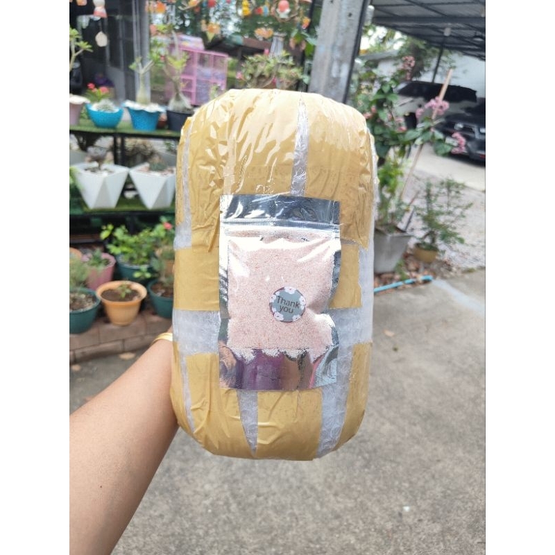 รูปภาพ 4