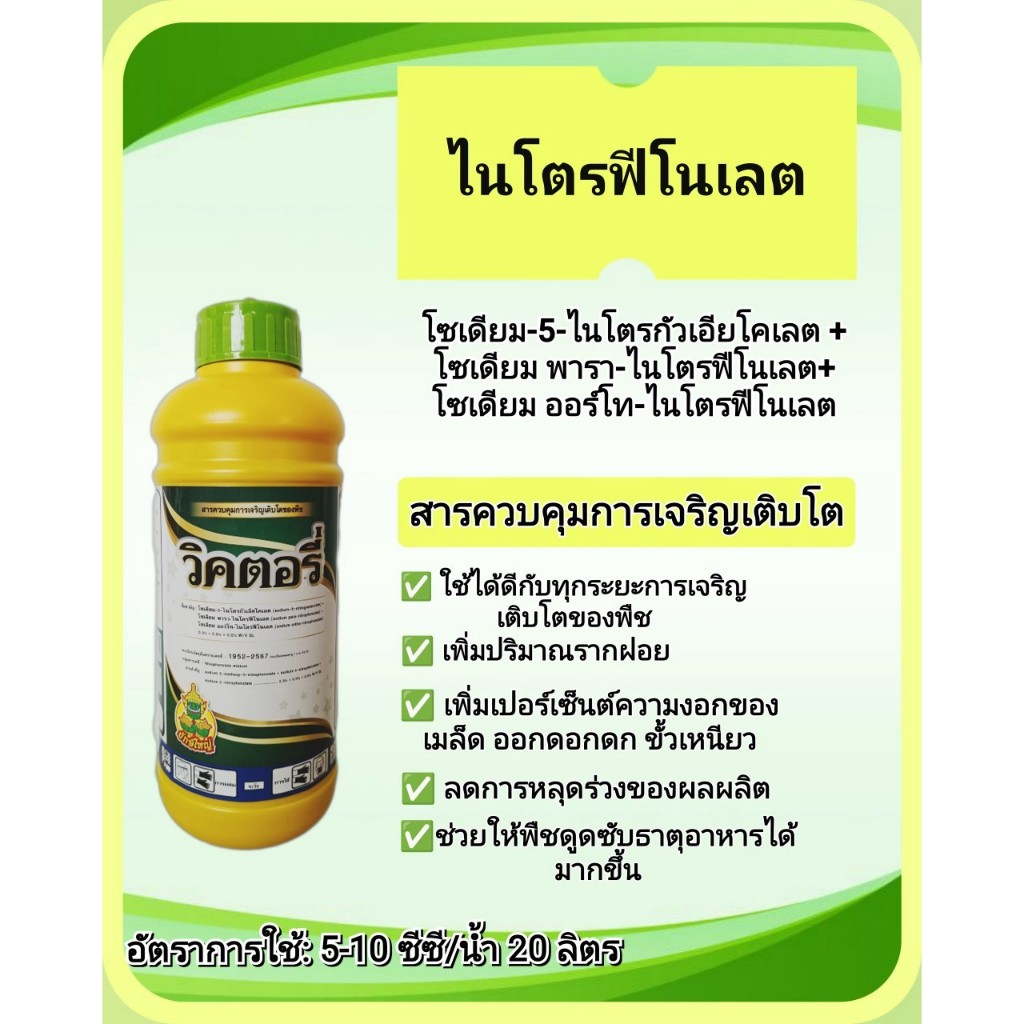 (บริษัท แอ็กโกร) ไนโตรฟีโนเลต วิคตอรี่ สารควบคุมการเจริญเติบโต ช่วยลดการหลุดร่วง เพิ่มปริมาณรากฝอย ออกดอกดก ขั้วเหนียว