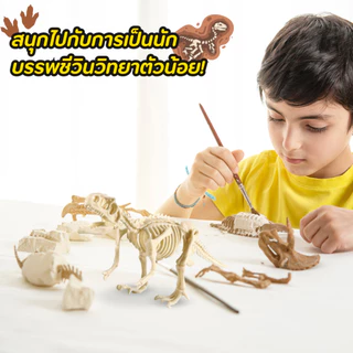 ของเล่น ขุดกระดูกไดโนเสาร์ ขุดของเล่น ไดโนเสาร์ ฟอสซิลอัญมณี หาสมบัติ