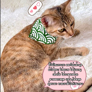 (P8)(หมวดการ์ตูน)ปลอกคอแมวผ้าสามเหลี่ยม ตัวล็อกนิรภัย ลายน่ารักๆ