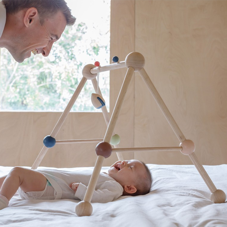 PlanToys صالة لعب خشبية Play Gym — Orchard — صورة 2