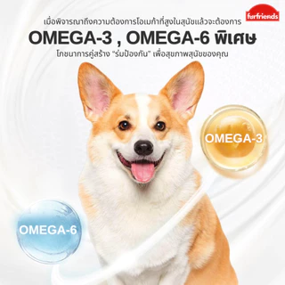 furfriends แซลมอนออยล์ บำรุงขน สุขภาพดี เสริมภูมิให้สัตว์เลี้ยง น้ำมันปลาแซลมอน แท้100% เกรดพรีเมียม น้ำมันปลา fish oil