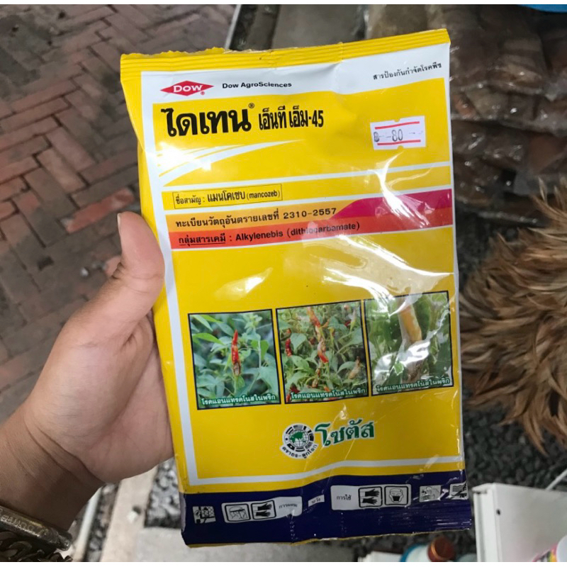 ไดเทน แมนโคเซป ยากำจัดเชื้อรา ราแห้ง เหนียว โรคกุ้งแห้ง - รูปที่ 3