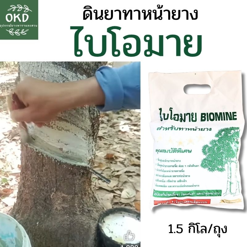ไบโอมาย​ ดินยาผงสีขาวของแท้​ มีแร่ธาตุฟื้นฟูหน้ายาง​ให้เปลือกสวย​ นิ่ม​ กรีดง่าย​ น้ำยาง​เพิ่ม