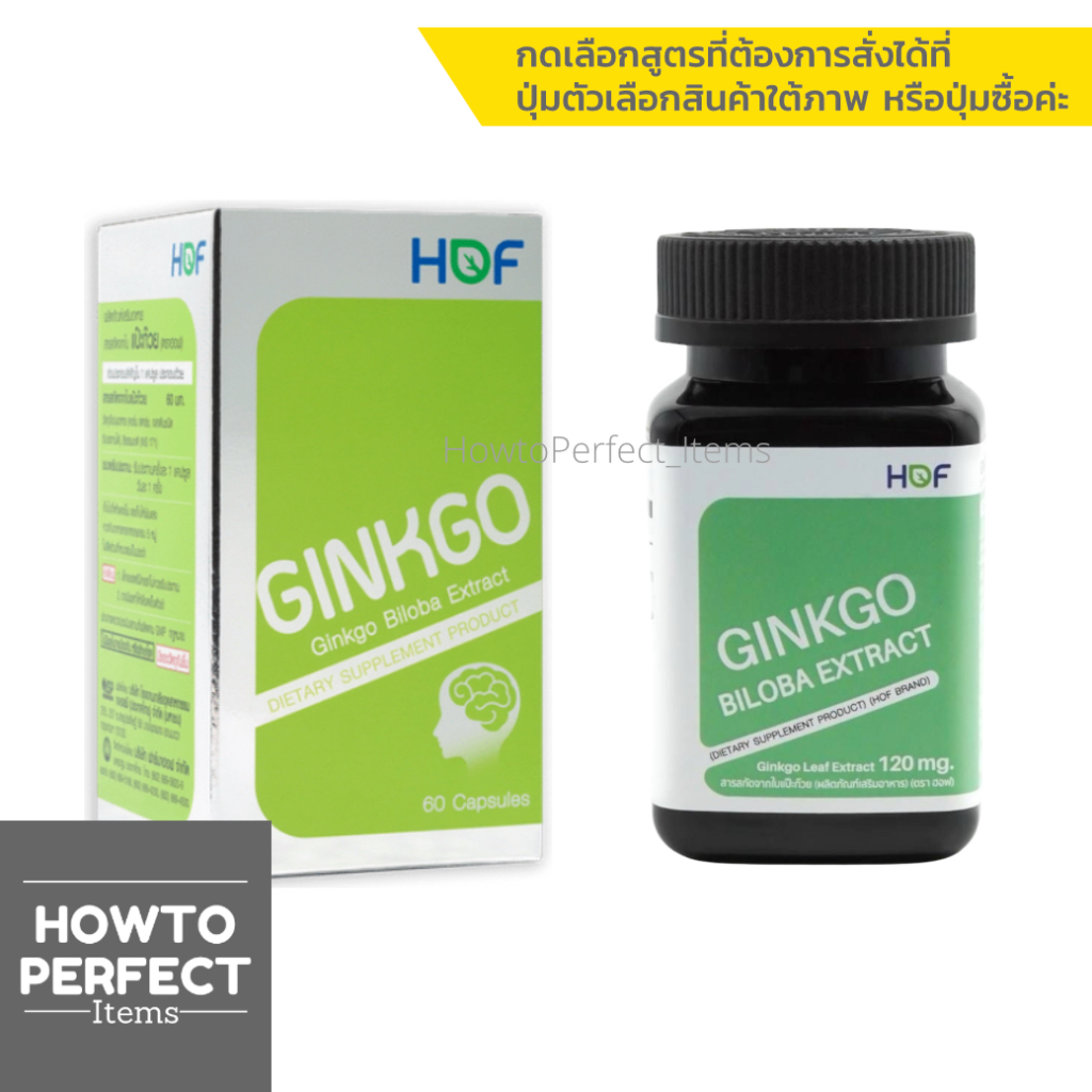 HOF Ginkgo Biloba Extract สารสกัดจากใบแป๊ะก๊วย