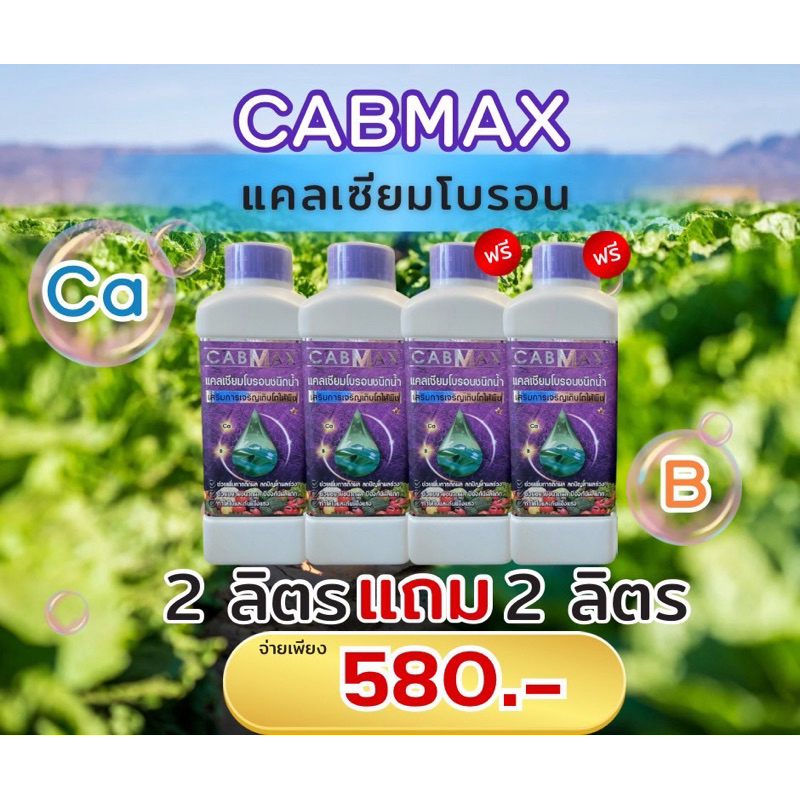 แคลเซียมโบรอน CABMAX 2ลิตร แถม 2ลิตร (C4)