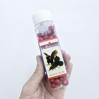 กุสุมาเม็ดแดง 100 เม็ด วิตามินไก่ชน อาหารไก่ชน นก ชุดเลี้ยงไ…