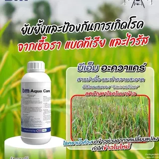 บีเอ็ม อควาแคร์ ขนาด1ลิตร มี GMP รับรอง สารหยุดเชื้อรา แบคทีเรีย ไวรัส ในนาข้าว ในผัก สวน ในไม้ผล ในไร่ ใช้ได้ทุกชนิด