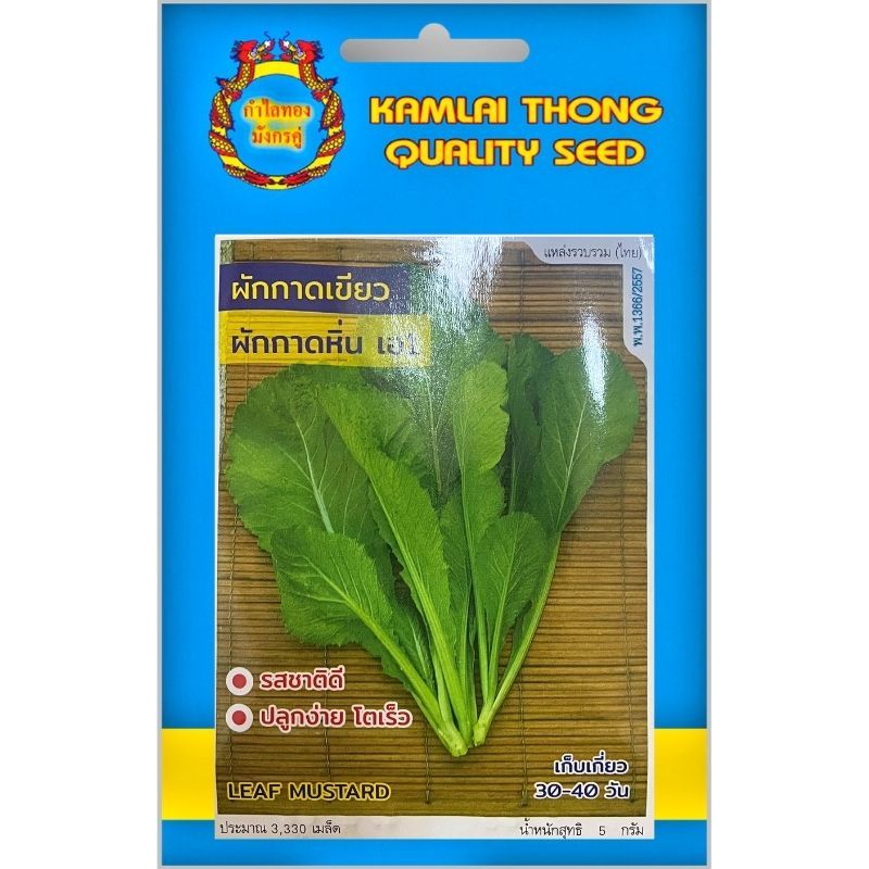 เมล็ดพันธุ์ผักกาดเขียว พันธ์ุผักกาดหิ่น ตรากำไลทอง
