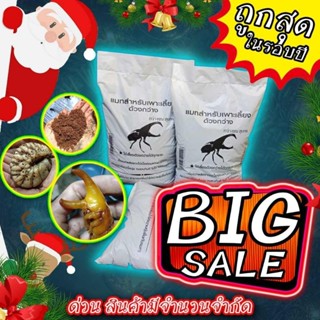 แมทสำหรับเพาะเลี้ยงด้วงกว่าง(40ลิตร)