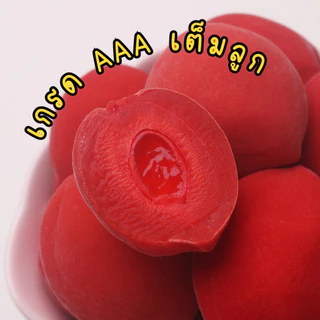 💥ขายดี💥 ท้อแดง =กรัม= RED PEACH ลูกท้อเเดง ท้อกรอบ ท้อสีเเดง บ๊วย บ๊วยเเดง พีชเเดง ท้อเเช่อิ่ม ท้อ ลูกท้อ ท้อกรอบ