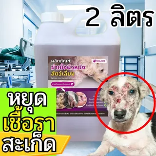 𝗠𝗔𝗟𝗔𝗗𝗜𝗘 สมุนไพรลดอาการคัน กำจัดเชื้อรา ตัวช่วยลดอาการคัน ลดขนร่วง หมาผิวหนัง แก้หมาขี้เรื้อน ปลอดภัยกับสัตว์เลี้ยง