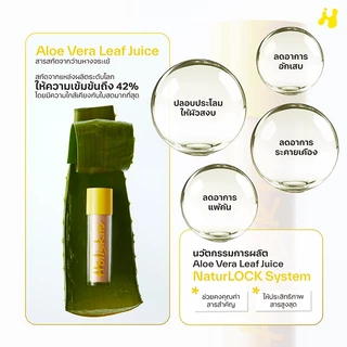 (SET ฟรีกิ๊บ) Holiskin Comfort and Nourish Serum Mist - เซรั่มสเปรย์โฮลิสกิน สกินแคร์ที่ช่วยเพิ่มความชุ่มชื้น ผิวแข็งแรง