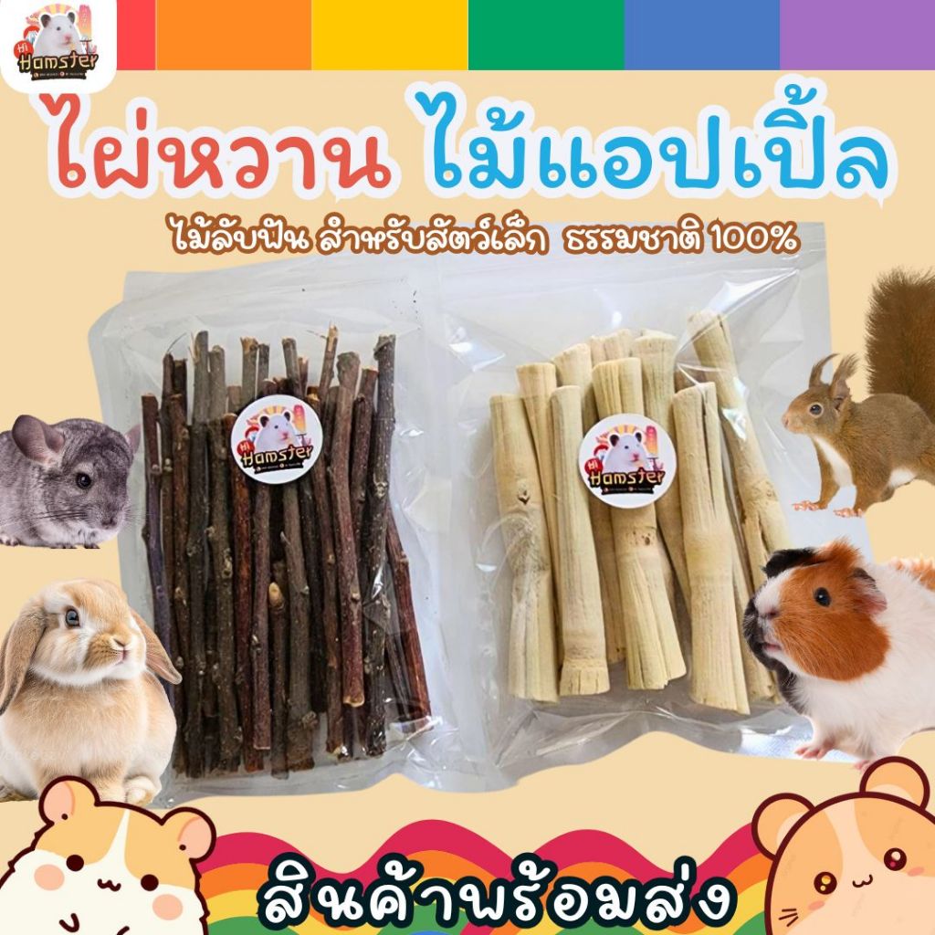 [HiHamster]ไม้แอปเปิ้ล ไผ่หวานที่ลับฟัน ลับฟันสำหรับสัตว์เลี้ยง แฮมสเตอร์