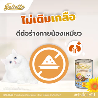 [ยกลัง 48] Bellotta เบลอตต้า อาหารเปียกแมว แมวโต ไม่เติมเกลือ ไม่เค็ม ปลาทู ทูน่า กุ้ง ไก่ แซลมอน ขนาด 85 กรัม x 48 ซอง