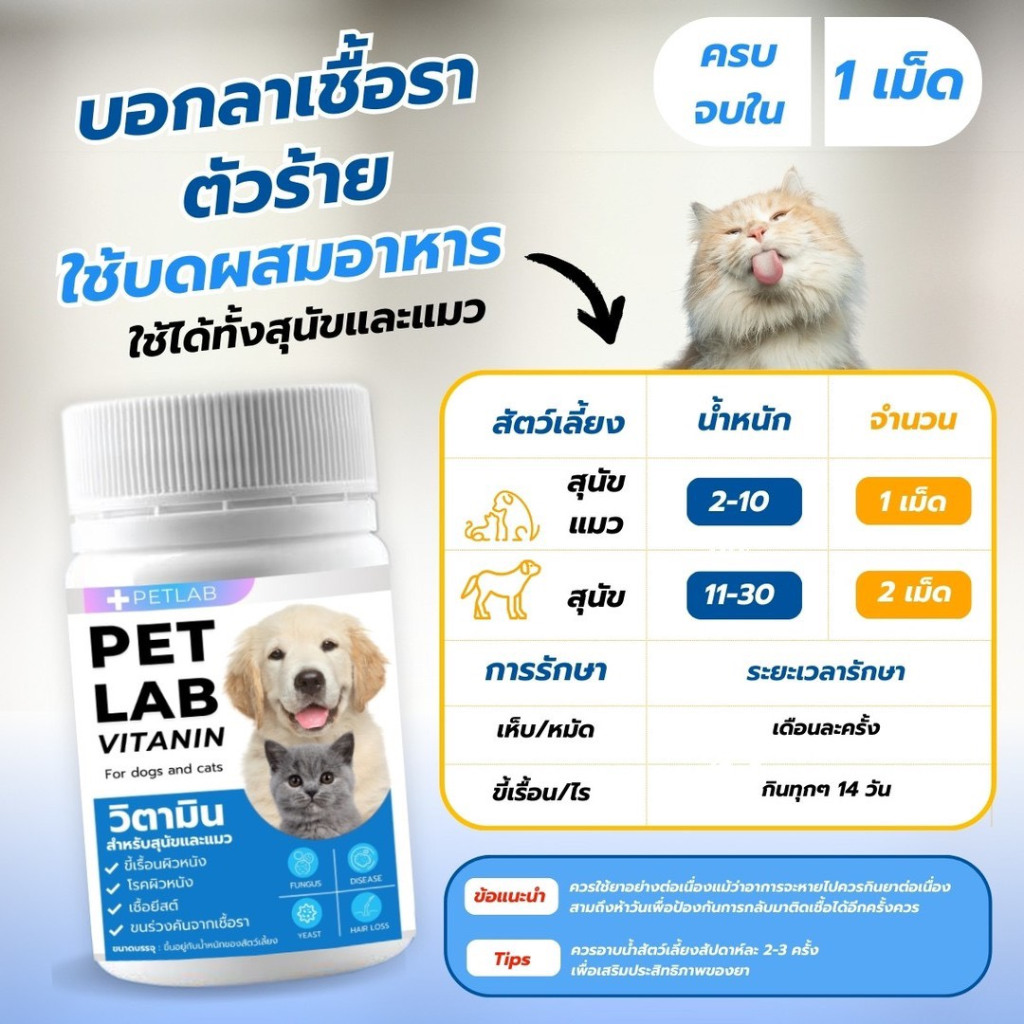 รูปภาพ 4