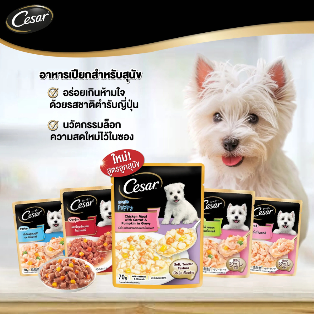 [X16ซอง] CESAR ซีซาร์ อาหารสุนัขแบบเปียก 70 กรัม {อาหารเปียกสุนัข}