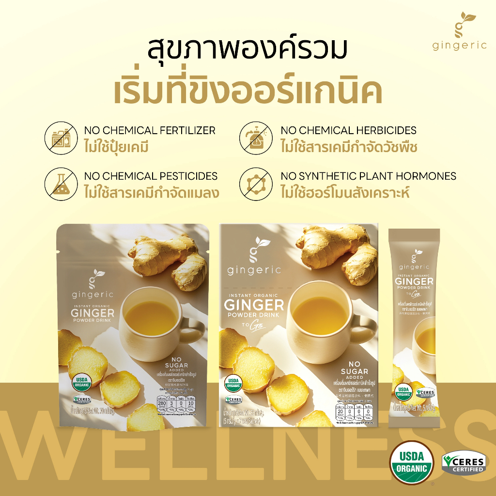 ผงขิงออร์แกนิคสำเร็จรูป ตราจินเจอร์ริก Gingeric Instant Organic Ginger Powder (70g)