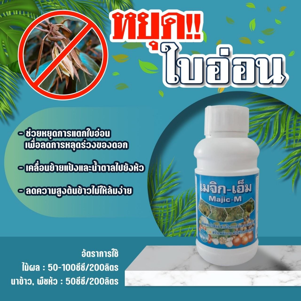 เมจิก-เอ็ม ( 500 ซีซี )( mepiquat ) เมพิควอต 25% สารกดใบอ่อน หยุดใบอ่อน ชะลอการเติบโตของพืช ช่วยเพิ่มการติดผล เพิ่มการออ