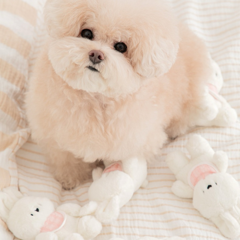 VELKYBARK [พร้อมส่ง] SSFW ของเล่นสัตว์เลี้ยง ของเล่นสุนัข นำเข้าจากเกาหลี มีเสียงปี้บๆ เสียงกรอบแกรบ - รูปที่ 4