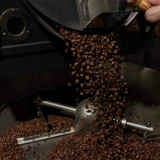 United Coffee Roaster เมล็ดกาแฟเอธิโอเปีย คั่วอ่อน ( Guji Hambela Buku Abel G1)ที่ผสมผสาน Fruity และ Berry ได้อย่างลงตัว
