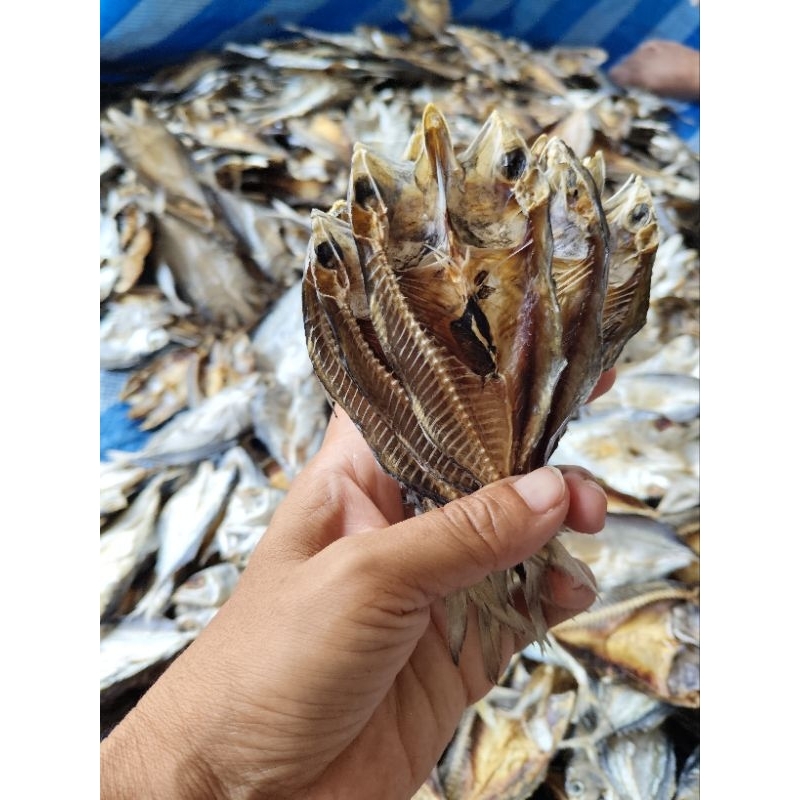 ปลาทูแขก ปลาทูมัน ตัวละ2บาท ตากแห้ง หอมอร่อยทอดกรอบทานได้ทั้งตัว