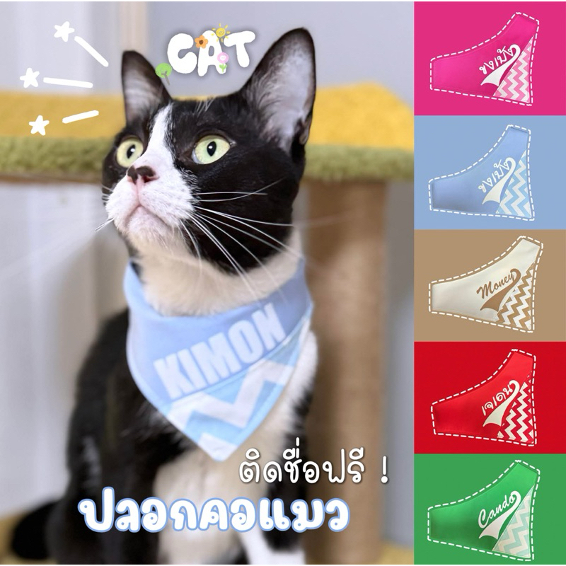 Ha-Shi SHOP ปลอกคอแมวติดชื่อ ลายหยัก /ติดชื่อฟรี/แจ้งทางแชท