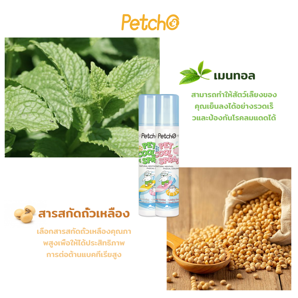 Petcho Pet Cooling Mist สเปรย์เย็น บอดี้สเปรย์  ฉีดแล้วเย็นทันที Relaxing Refreshing - รูปที่ 4