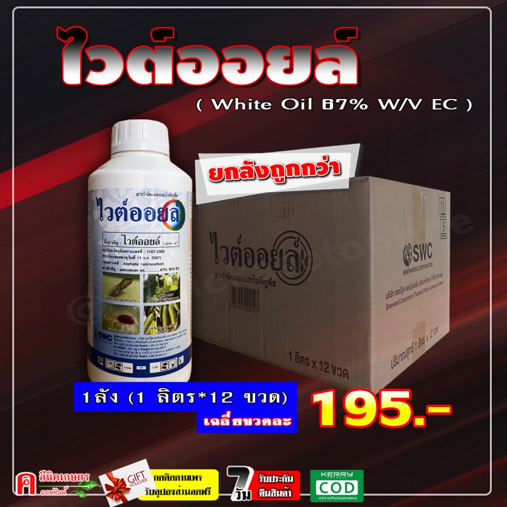 // ขายยกลัง // ไวต์ออยล์ ของแท้ 100% ( 12 ลิตร ) ไวต์ออย ไวท์ออยล์ สารจับใบ ยาจับใบ คุมไข่ แมลง ยับยั้งการลอกคราบของแมลง