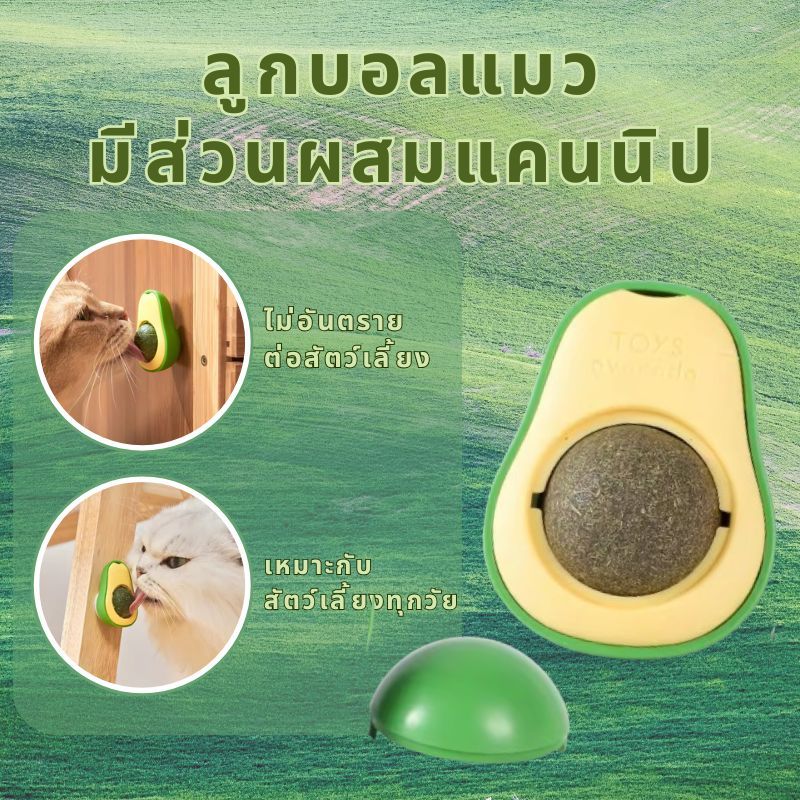 【พร้อมส่ง! 】กัญชาแมว หญ้าแมว ลูกบอลมิ้นต์ ตกแต่งแมว เลียแมว ลูกบอลหญ้าชนิดหนึ่ง การออกแบบติดผนัง