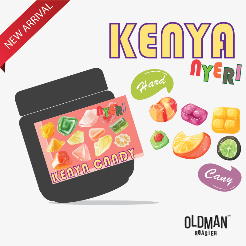 เมล็ดกาแฟ KENYA NYERI HARD CANDY (คั่วอ่อน) 200 กรัม by OLDMAN ROASTER