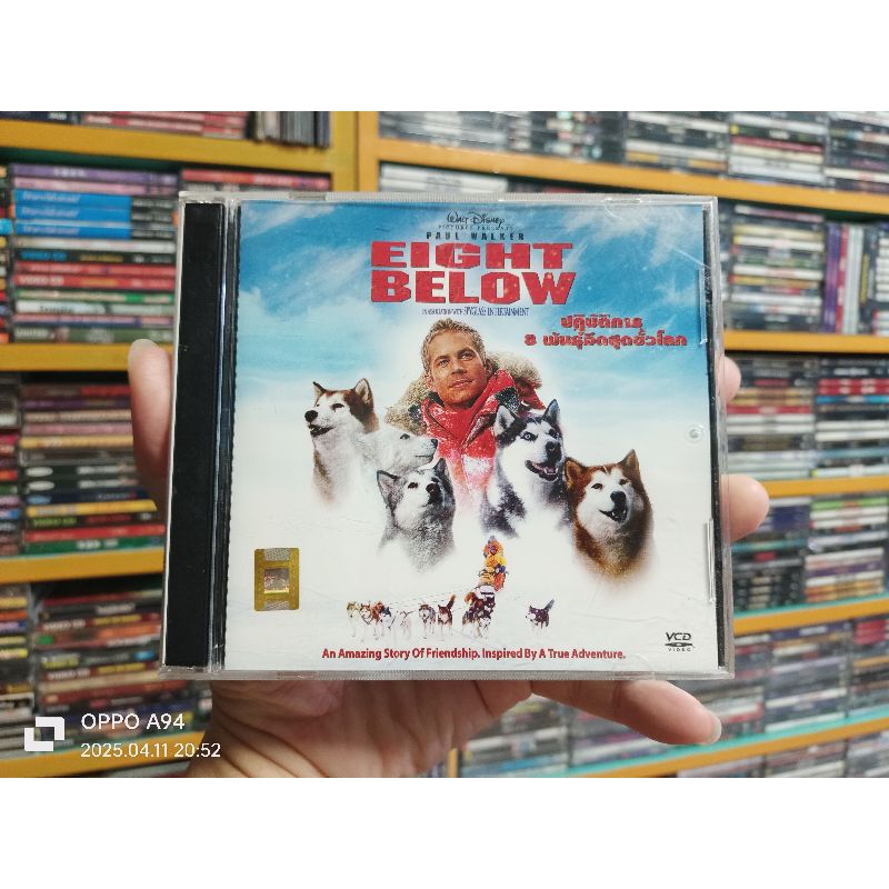EIGHT BELOW ปฏิบัติการ 8 พันธุ์อึดสุดขั้วโลก ภาพยนตร์แผ่น วีซีดี พากษ์ไทย