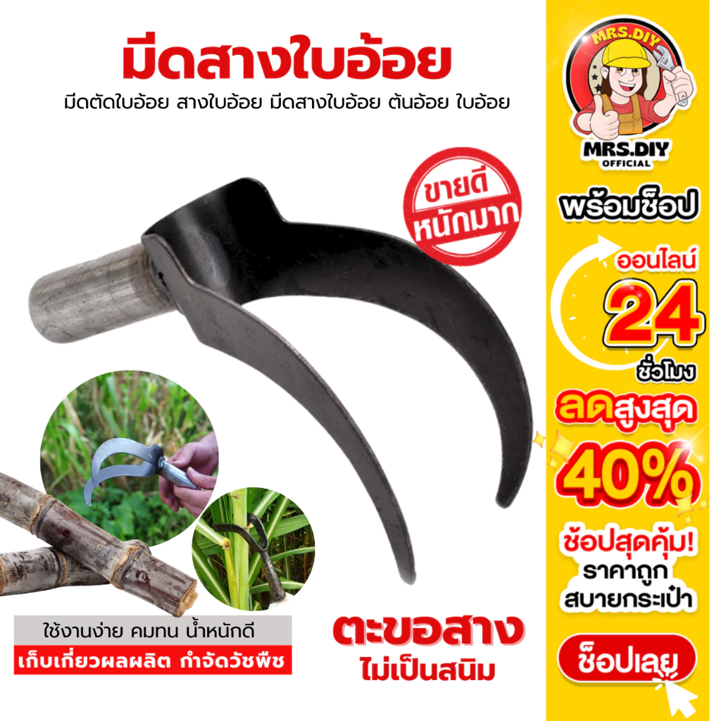 มีดสางอ้อยสแตนเลส อุปกรณ์ทำอ้อย thumbnail 3