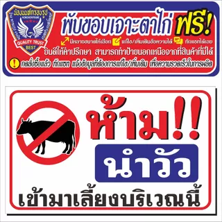 ป้ายไวนิล (V70) ห้ามนำวัวมาเลี้ยงบริเวณนี้ ไวนิลสำเร็จรูป พร้อมส่ง