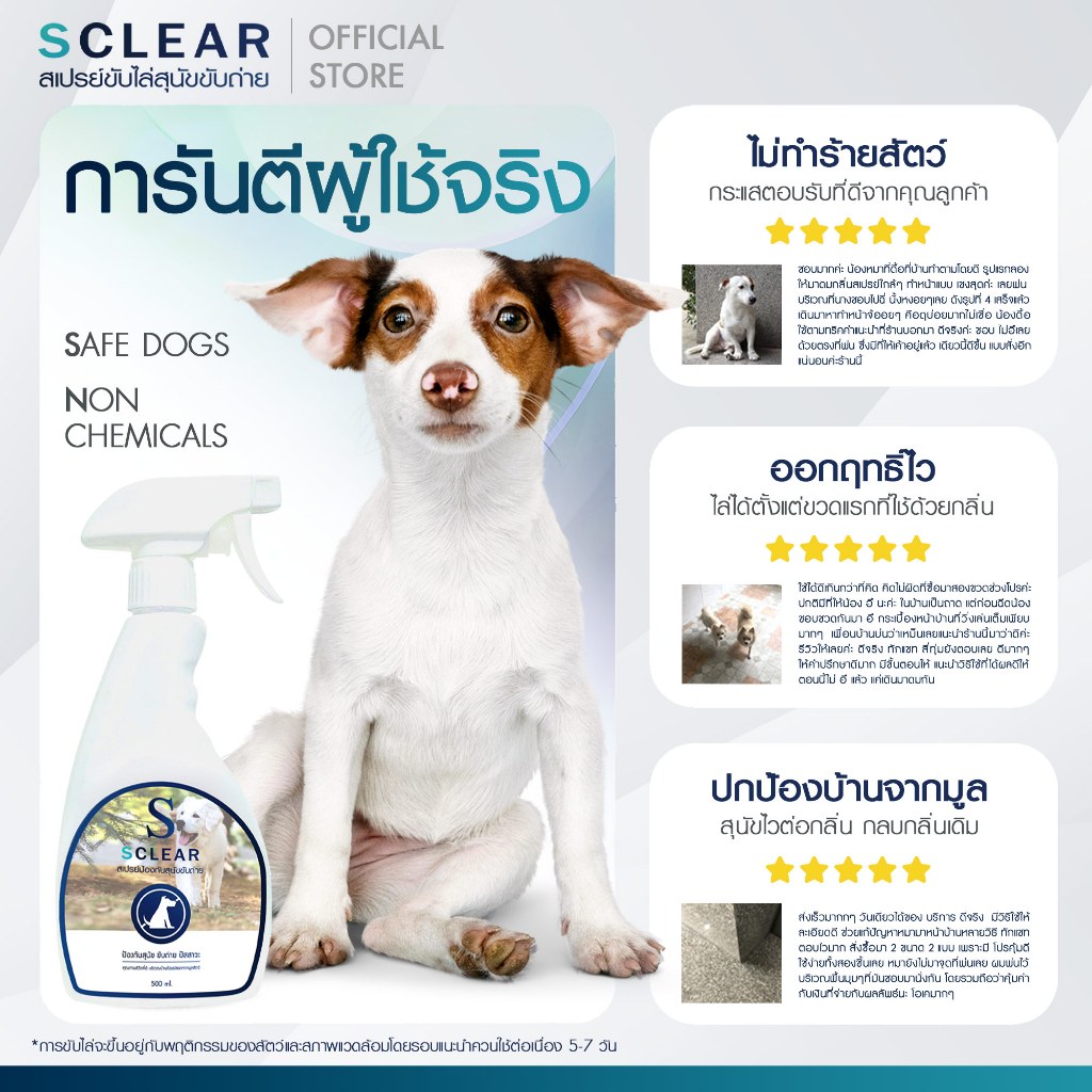 รูปภาพ 6