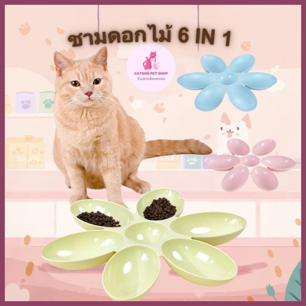 ชามอาหารสัตว์เลี้ยง 6 ช่อง ชามอาหารแบบแบ่งช่อง ชามอาหารสำหรับสัตว์เลี้ยงหลายตัว ชามอาหารพลาสติก ชามสำหรับแมวและสุนัข