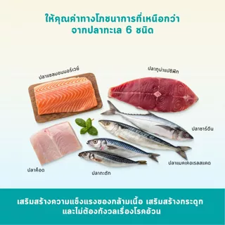 Bite Of Wild F42 ซอง 2กก สูตรปลา 6 ชนิด ปราศจากธัญพืช สำหรับแมวทุกช่วงวัย