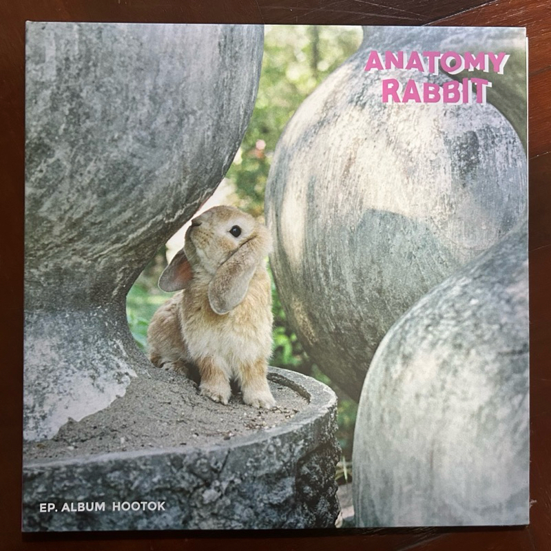แผ่นเสียง Anatomy rabbit - อัลบั้ม Hootok หูตก