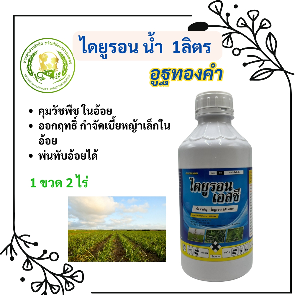 ไดยูรอน น้ำ อูฐทองคำ 1 ลิตร คุมวัชพืช อ้อย กำจัดวัชพืชใบแคบและใบกว้าง ใน อ้อย มัน สับปะรด