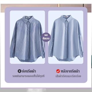 เตารีดไอน้ำ เครื่องรีดผ้าไอน้ำขนาดเล็ก เตารีดผ้าไอน้ำพกพก รีดเรียบใช้ง่าย เปียกและแห้ง