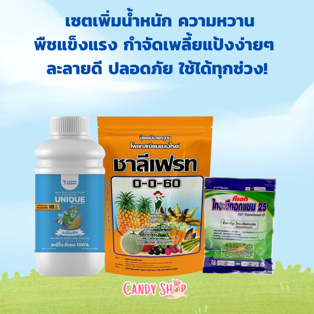 เซตเพิ่มน้ำหนัก ความหวาน พืชแข็งแรง กำจัดเพลี้ยแป้งง่ายๆ  ละลายดี ปลอดภัย ใช้ได้ทุกช่วง ยูนีคอะมิโนพืช+0-0-60+ไทอะมิทอก