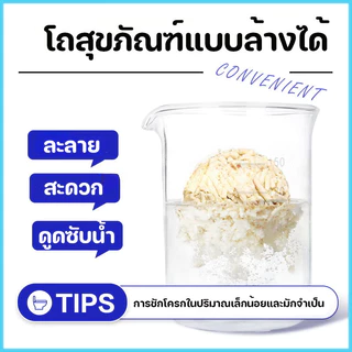 ทรายเต้าหู้ ออร์แกนิค100% ผลิตจากกากถั่วเหลืองธรรมชาติ 6 ลิตร 4 รสชาติ Cat litter