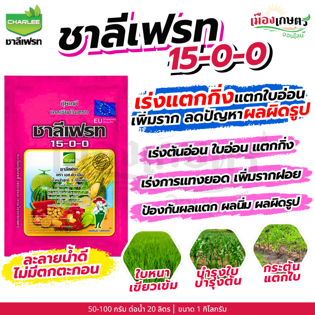 รูปภาพ 2