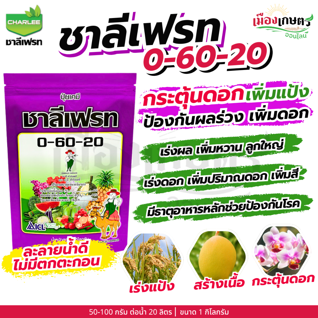 รูปภาพ 4