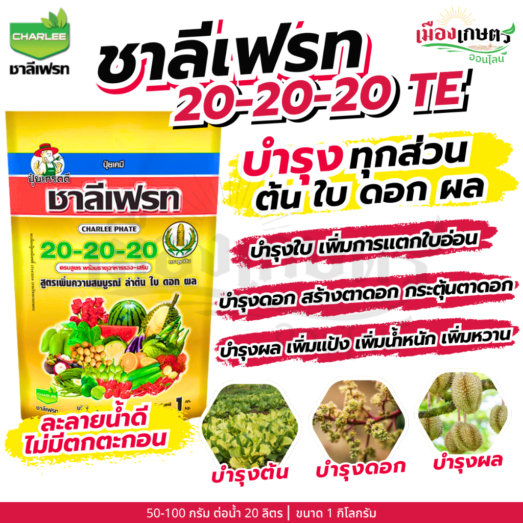 รูปภาพ 7