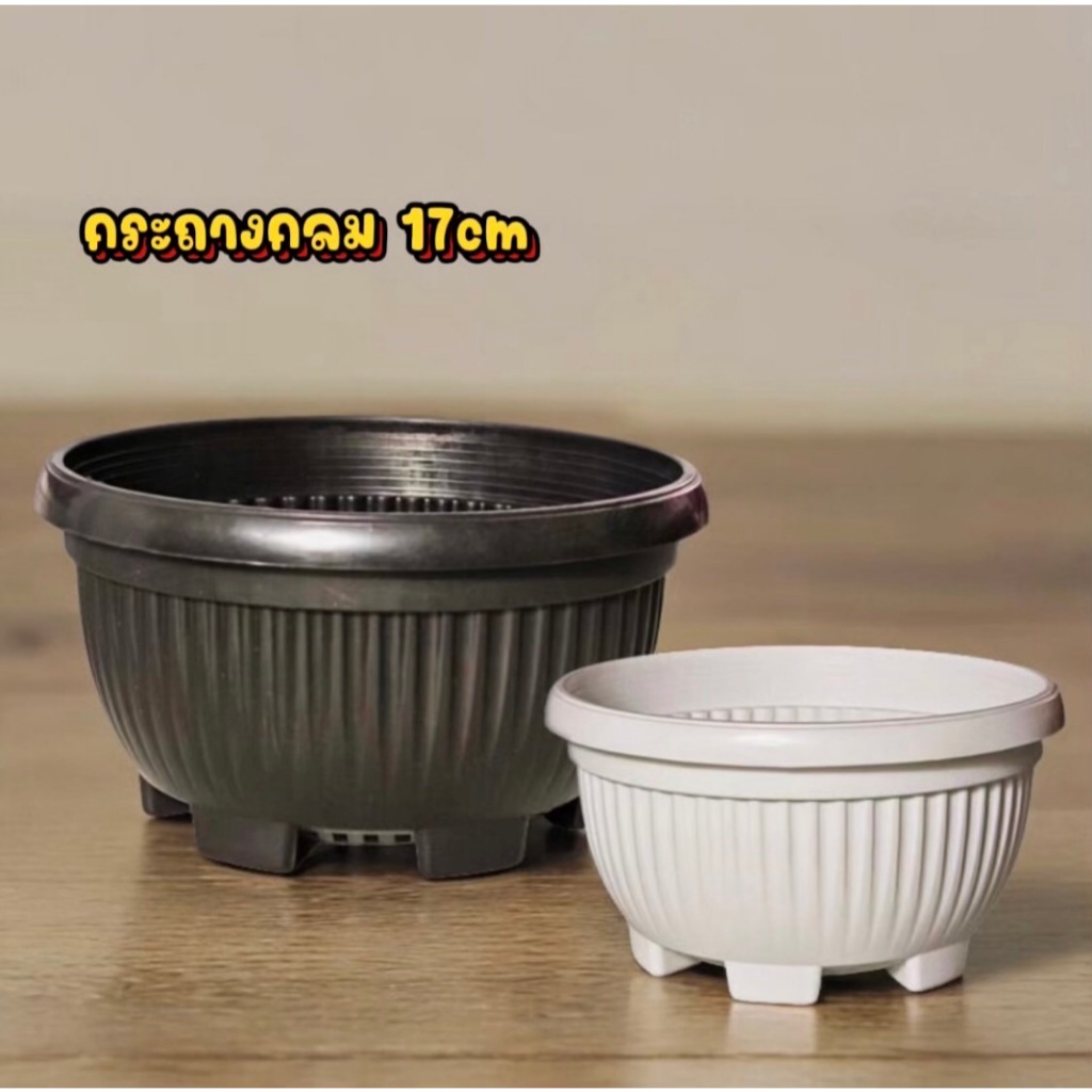 กระถางต้นไม้ทรงกลม มีรูระบายน้ำพร้อมส่ง สีขาวและสีดำ